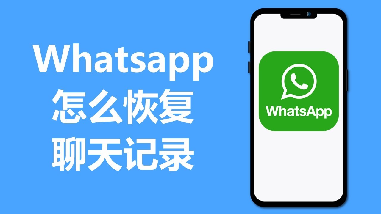 如何找回已删除的WhatsApp对话？ - whatsapp官网下载